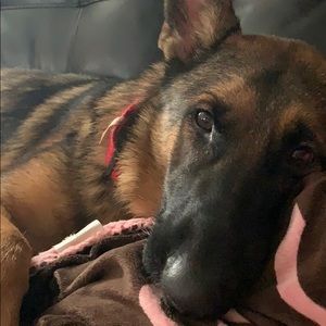 Meet your Posher, Antonio